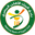 Home team logo