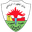 Home team logo