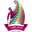 Home team logo