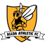 teamLogo