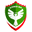 Home team logo