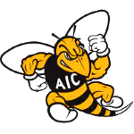 home team logo