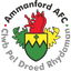 Ammanford logo