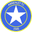 Home team logo