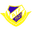 Away team logo