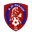Home team logo