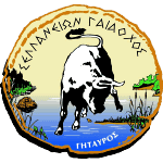 AO Selanon