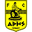 Home team logo
