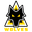 Home team logo