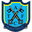 Home team logo