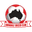 Home team logo