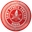 Home team logo