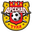 Home team logo