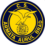 CSM Aurul Brad