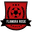 Home team logo