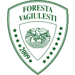 AS Foresta Văgiulești