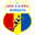Home team logo