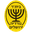 Home team logo
