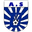 Home team logo