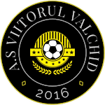 AS Viitorul Valchid