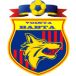 home team logo