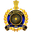 Home team logo