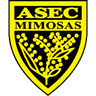 ASEC Mimosas