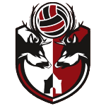 away team logo