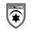 Home team logo