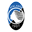 Home team logo