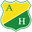 Home team logo