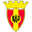 Home team logo
