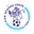 Home team logo