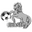 Home team logo
