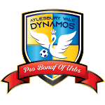 Aylesbury Vale Dynamos FC logo