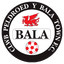 teamLogo