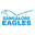 Home team logo