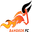 Away team logo