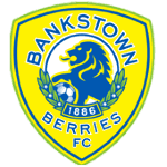 Bankstown Berries FC