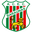 Home team logo