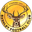 Home team logo