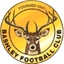 teamLogo