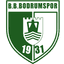teamLogo