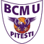 FC Argeș Basketball