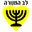 Home team logo