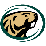 home team logo