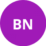 Бенесова Н. logo
