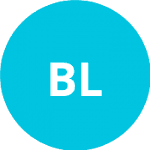 Бенкаддур Л. logo