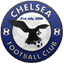 Berekum Chelsea logo