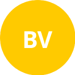 Bielinskyi V. logo